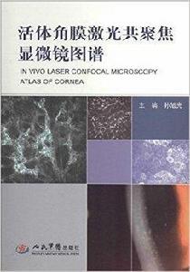 活體角膜雷射共聚焦顯微鏡圖譜 活體角膜雷射共聚焦顯微鏡圖譜