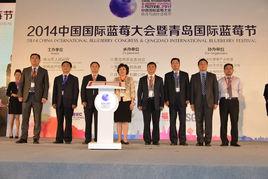 青島藍莓採摘節 青島藍莓採摘節