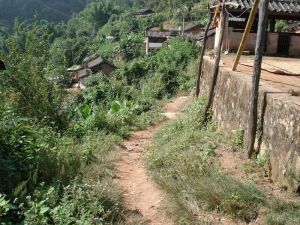 大曼會自然村 大曼會自然村