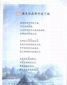 要是你在野外迷了路 要是你在野外迷了路