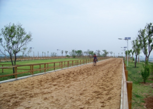 國慶跑馬場 國慶跑馬場