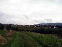 堆子頭自然村 堆子頭自然村