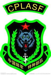 中國陸軍特種部隊