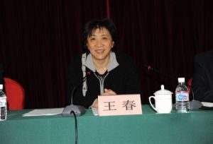 王春[大連市國資委主任]