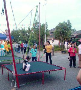 兒童笨豬跳床 兒童笨豬跳床