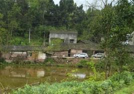 共和鄉[四川省安岳縣共和鄉]