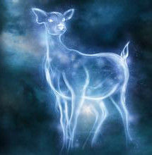 呼神護衛 呼神護衛