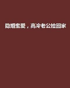 隱婚蜜愛,高冷老公撿回家 隱婚蜜愛,高冷老公撿回家