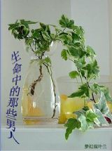 《生命中的那些男人》