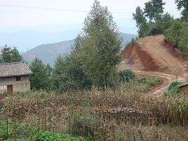 甲岩自然村 甲岩自然村