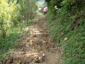 苗豐山村 苗豐山村