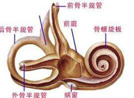 耳前庭功能受損 耳前庭功能受損
