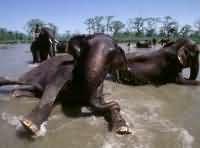 奇端國家公園 奇端國家公園