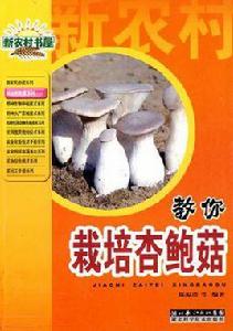 教你栽培杏鮑菇