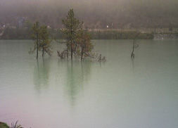 黑白水河 黑白水河