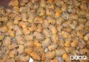 辣味海瓜子 辣味海瓜子