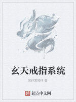 玄天戒指系統 玄天戒指系統