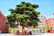 鄭州商業中等專業學校宿舍樓前