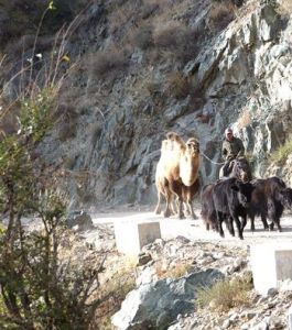 克爾古提鄉 克爾古提鄉