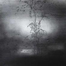 林彬作品及展覽圖片