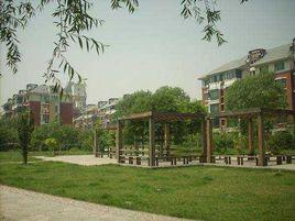 星島假日 星島假日