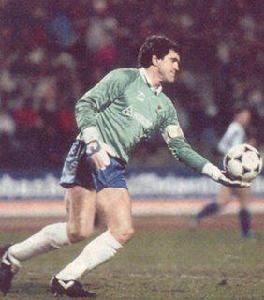 路易斯&middot;阿科納達