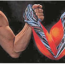 人造肌肉 人造肌肉