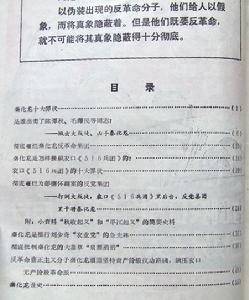 （圖）“秦化龍問題”