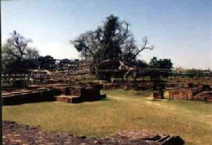 佛祖誕生地蘭毗尼