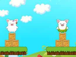 開心小豬 開心小豬