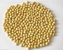 養生快線五穀養生坊 養生快線五穀養生坊