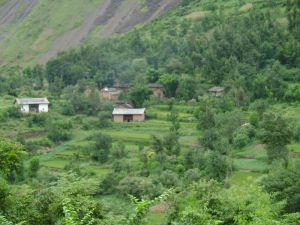 胡家村自然村 胡家村自然村