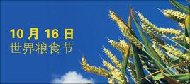 糧食節 糧食節