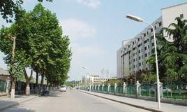 洪慶街道 洪慶街道