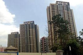 矽谷公寓 矽谷公寓