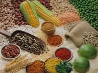 世界保健日 世界保健日