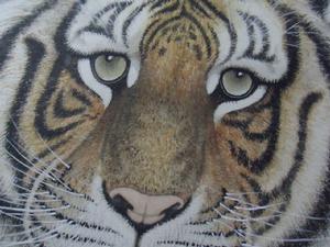 5、為山君造像，（圖4工筆虎畫局部）