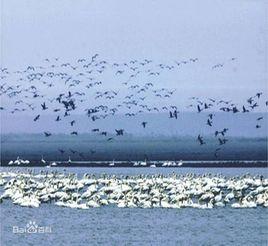 東至旅遊景點 東至旅遊景點