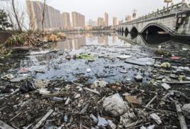 營養物污染 營養物污染