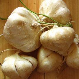 牧馬山地瓜 牧馬山地瓜