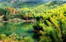 黃柏山國家森林公園