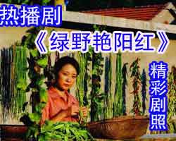 《綠野艷陽紅》 《綠野艷陽紅》