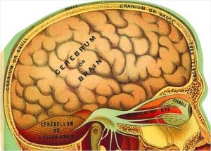 河北省科學技術館