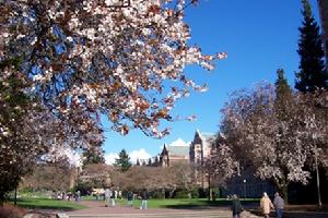 華盛頓大學聖路易斯分校