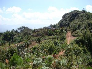 山頭自然村 山頭自然村