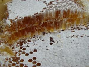 維西百花蜜 維西百花蜜