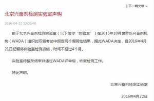 聲明[漢語辭彙]