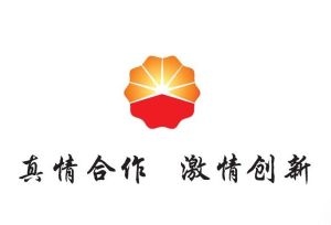 北京中油瑞飛信息技術有限責任公司 北京中油瑞飛信息技術有限責任公司