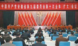 中共安徽省委九屆十次全會 中共安徽省委九屆十次全會