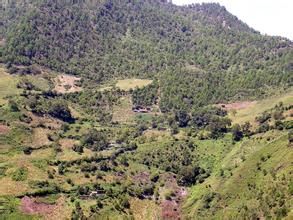 老羊沖自然村 老羊沖自然村